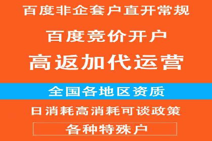 百度推广公司案例分享：如何通过百度推广实现持续增长